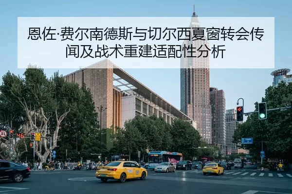 恩佐·费尔南德斯与切尔西夏窗转会传闻及战术重建适配性分析